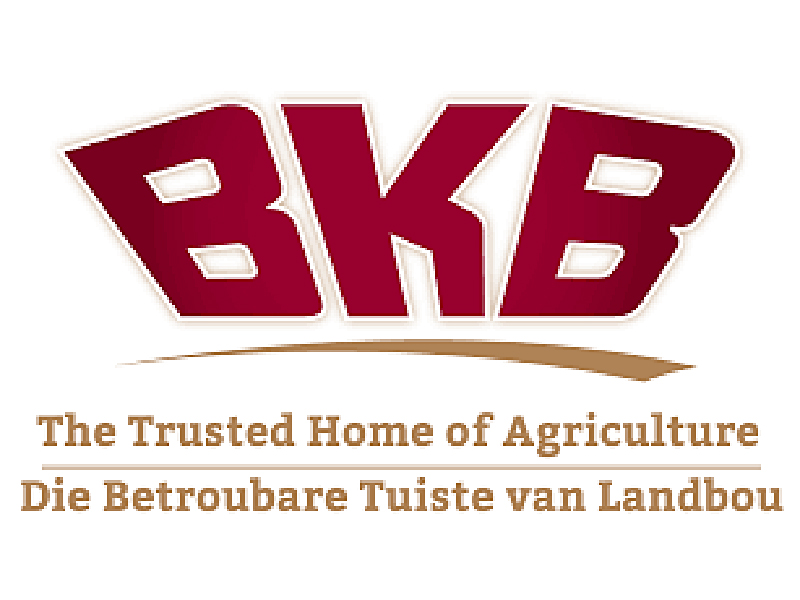 BKB Wool & Mohair