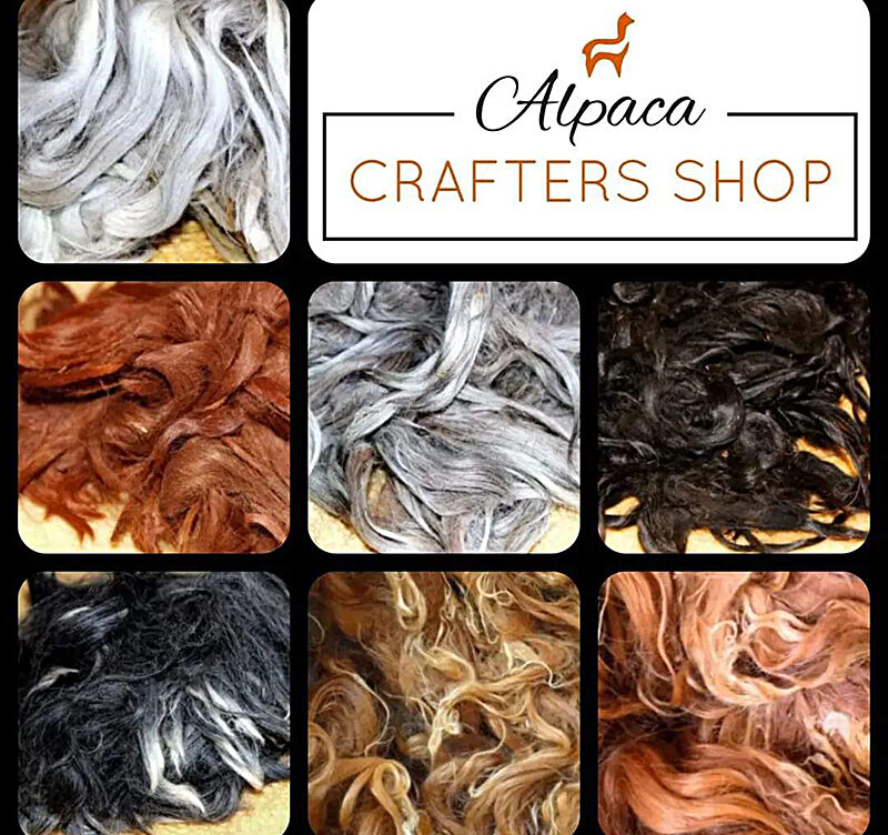 Suri Alpaca Locks