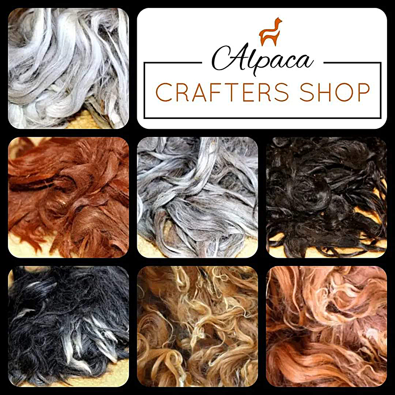 Alpaca Crafters Shop