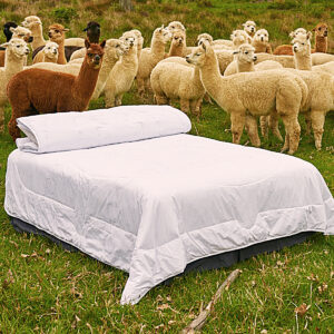 Alpaca Fibre Duvets